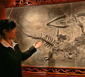 De su estadía en la India