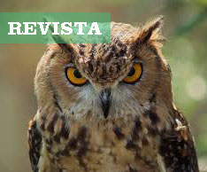 De qué color es la piel del tigre